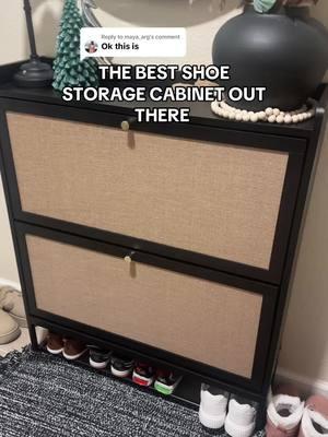 Replying to @maya_arg ON SALE 💰 #shoestorage #shoestoragecabinet #shoerackorganizer #homeaesthetic #shoerackorganizer 