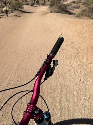 Little clip from my ride this morning in beautiful Fountain Hills Arizona. The best type of cardio is on a #MTB  #mountainbike #Cardio #Arizona #Desert #FountainHills #Fyp #Fitness 