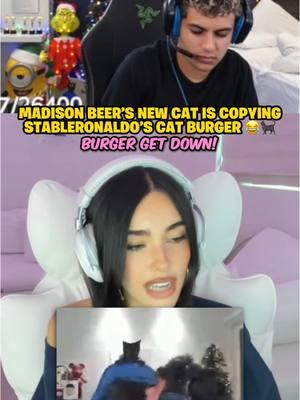 Madison Beer’s cat is copying Burger 😂🐈‍⬛ (Twitch - StableRonaldo) #fyp #trending #viral #stableronaldo #madisonbeer 