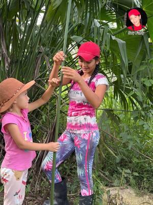 Hicimos nuestro Árbol de navidad, 100% Ecológico y sin gastar ni un solo centavo! #vidadecampo #Ecuador 