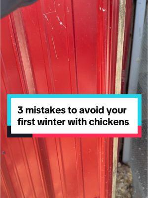 Don’t keep your chickens water inside, don’t close up all of their ventilation, and don’t use skinny roosts that leave toes exposed! #chickens #chickenmom #backyardchickens #winterchickens 