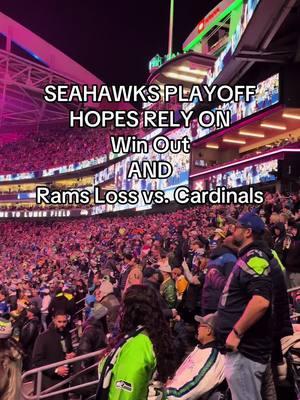 So you’re telling me there’s a chance… #seahawks #gohawks #nfl #lumenfield #seatttle #12s #playoffs #bluefriday 