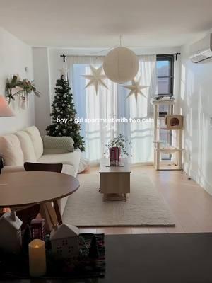 boy and girl apartment with two cats 🐈🐈. Cozy for the holidays 🎄 #apartment #apartmenttherapy #apartmenttour #smallapartment #apartmentdecor #girlapartment #homedecor #cozyathome #cozylittlechristmas #cozyvibes #roomdecor #roominspo 