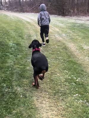 Some fun at our family christmas party she enjoyed having someone to run with her 💗 Today was a bit cold and windy so we put on her specs to keep her eye from getting to dried out simce she doesnt have a tear duct.  #dogs #dobermanpinscher #willowtheservicedobie #dobermansoftiktok 