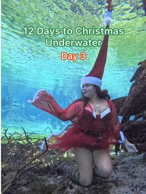 Day 3 of my Underwater Christmas Countdown! ✨🎄 Today’s song is the timeless classic White Christmas by Bing Crosby. @Bing Crosby 🌊🎶  Bringing some dreamy holiday vibes underwater—because who doesn’t wish for a little snow this time of year? ❄️ Shot with my @insta360_official Ace Pro   #WhiteChristmas #UnderwaterChristmas #12DaysToChristmas #HolidayCountdown  #ChristmasCountdown #insta360 #insta360acepro #insta360girl #insta360underwater  #christmascountdownunderwater #ChristmasUnderwater