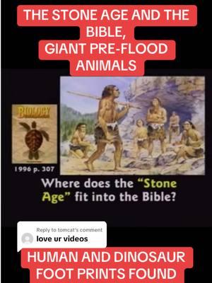 Replying to @tomcat #christianitytok #stoneage #dinosaurs #youngearthcreationist #creationist #holybible 