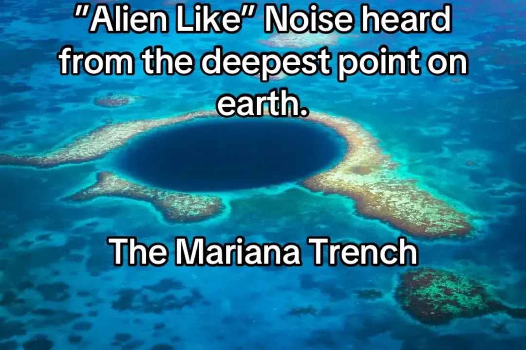 #marianatrench #ocean #alien #strange #scary #creepy 