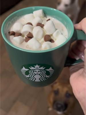 Part two! Homemade hot cocoa with the toppers I made last night. #hotchocolate #hotchocolatebomb #hotchocolatebar #christmasgoodies #christmastreats #treat #treats #chocolate #christmascountdown #whipcream #hack #bakinghack #fyp #follow #followme #hacksandtips #hotcocoa #part2 #parttwo 