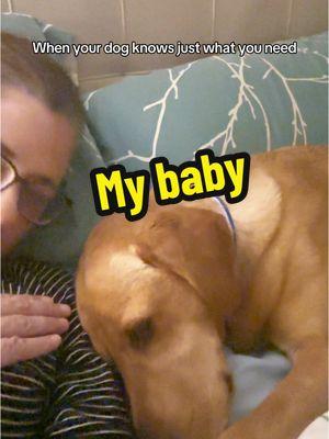 Dogs know just what you need #labsoftiktok #mybaby #foxredlab #yellowlab #dogsknow #thebadmomsoftiktok 