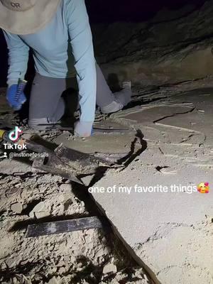 #fypシ #wyoming #wy #lovethis #dream #paleontologist #education #digging #greenriverformation #fossils #fossil #fyp #travel #adventure #discovered #interesting #focus 