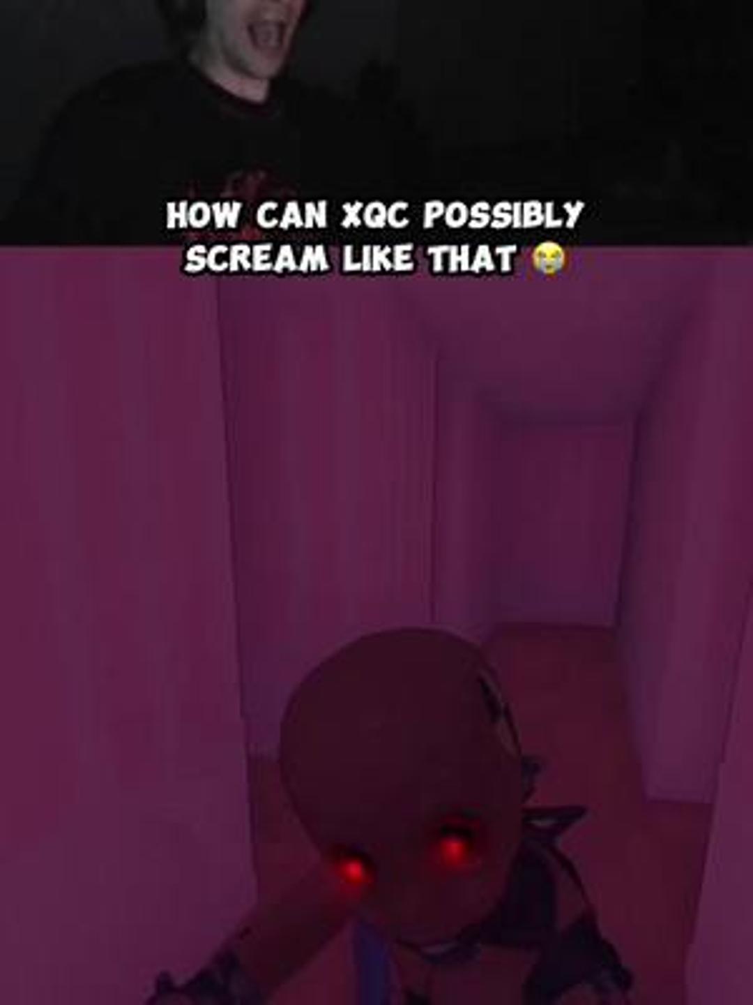 it was a literal screech 😭 #fyp #xqc #xqcow #xqclips #foryoupage #horrorgame 