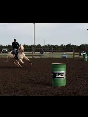 Have lots of very green futurity babies they said… its fun “they said” ☠️😂. Its like sore back whiplash not know what to expect 😂 #babies #futurityhorses #DWPH #outlawbarrelraces #horsetraining #horses #equine #fasthorses