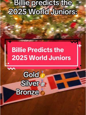 Good job Billie! #foryou #hockey #worldjuniors #wjc #hockeyboys #sverige #sweden #canada #usa #česko #hokej #suomi #christmas #slovensko #dog #dogtiktok #dogtok #goldendoodle #puppy