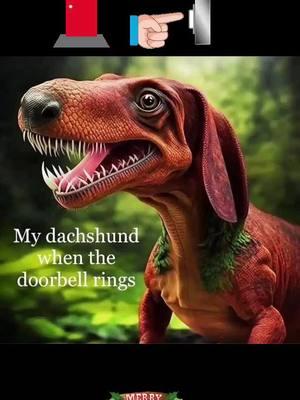 Doxie humor#jinglebells #merrychristmas #dappledachshund #weinerdogs #weeniedoxie #weeniedogs #hotdogsoftiktok #hotdogs #sausagedogsoftiktok #sausagedogs #doxiesoftiktok #doxies #dachshundsoftiktok #dachshunds #dogsoftiktok #dogs #PetsOfTikTok #pets #viral #viralvideo #viral2023 #trend #trends #trending2023 #fy #fyp #foryourpage2023#dinosaur #jurassicpark #sharpteeth #fierce #protector #funny #funnyvideos #funny2023 #comedy2023 #laughs #humor #hilarious #funnytictokcomedy #laughsoftiktok #humor2023 #hilarious2023 #comedytictok #babyfilter 