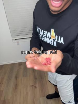 teaching a puppy to shake hands  #puppy #howtotrainapuppy #howtotrainadog #DogTraining 