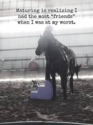 #fakefriends #realproblems #gotmyback #4quartersover100pennies #colts #morganhorse #ricochet #idaho 