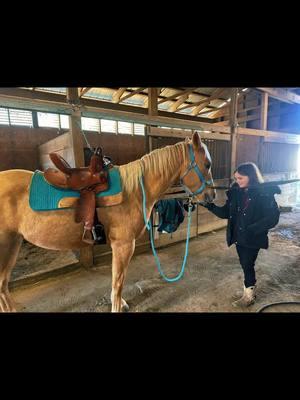 #newhorse #horses #kidsoftiktok #horse #palomino #firewaterflit #aqha alexis first ride on tito!!!! She seems tongeow fond of our yellow pony