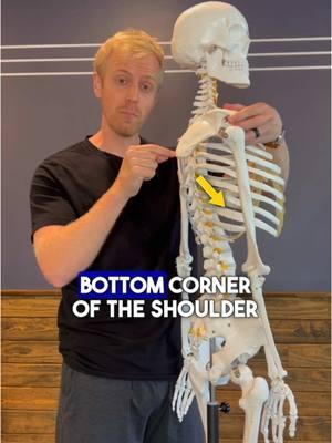 🎯2 shoulder mobility mistakes most people make! (If you need a step-by-step program to fix your shoulder issues, get my shoulder blueprint program today! #shoulderpain #shoulderimpingement 