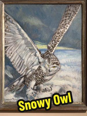 To celebrate this holiday, I wanted to share one of my grandfather Clayton Spicer’s paintings of a magnificent Snowy Owl, done in the 1940’s. The Owl sees and knows the truth. It's ability to navigate through the darkest night and bring back nourishment for itself and others is the foundation of this essence. When you have lost your way, owl essence will guide you back to your proper path and wisdom. Because of its keen eyesight the owl is considered to be a great visionary. The Owl can take us beyond fears, for Owl sees far into the future and knows that even after the darkest night there is a new dawn that is approaching. My grandfather was a dedicated artist. I have a very early memory of sitting on his knee, age 3, painting leaves on the trees of one of his paintings. “Claytie,” as we called him, was a masterful painter who had studied at the Chicago Art Institute and the Art Students League in New York City with Robert Henri, author of The Art Spirit and the founder of the Ashcan School of American art. We have many of his wonderful paintings hanging in our home, and I love to gaze upon his brushstrokes of the sky, the trees, the mountains, following his vision…. #artists #dna #claytonspicer #artinmyheart #familyofartists #ashcanschoolofart #roberthenri #landscapepainter #art #raisedwithart #nature #owl #totem #guidance #vision #montefarber #amyzerner