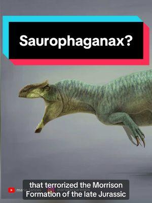 Saurophaganax? Or Allosaurus? #dinotok #accuratedinosaurs #dinosaur #edutok #LearnOnTikTok 