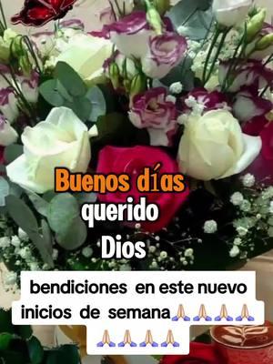 #CapCut #bendiciones🌹❤️🙌🏻🙌🏻🙏 #en #este #inicios #de #semana #atodos 