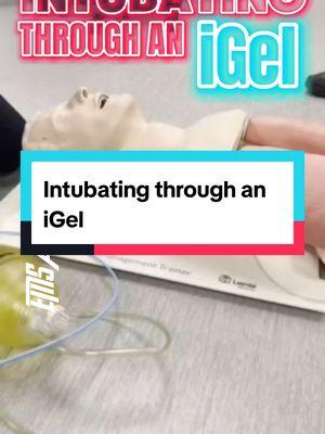 Replying to @myprostate Can you intubate through an iGel? Yes. Is intubating through an iGel in a manikin easier than in a sick human? Also yes.  #fyp #Paramedictok #paramedicsoftiktok #medicsoftiktok #medictok #emtsoftiktok #emstok #Paramedic #paramedics #firstresponders #firstrespondertok #firstrespondersoftiktok #firefightertok #firefightersoftiktok #paramedicstudent #emtstudent #emstiktok #emergencymedicine #ambulance #ambulancetok #911 #paramedicstudentsoftiktok #emtstudent #emtstudents #emtstudentsoftiktok  #nursetok #nursesoftiktok #nurse #nurse #rntok #rnsoftiktok  #CriticalCare #CriticalCareParamedic #CriticalCareParamedicsoftiktok #CriticalCareTok #CriticalCareofTikTok #FlightParamedicsoftiktok #FlightParamedictok #FPC #CCPC  #Firemen #FiremenofTikTok #firemanTok #FireMedic #FireMedics #FireMedicsofTikTok  #cardiacarrest #OHCA #resuscitation #FOAM #FOAMED #FOAMEMS #12lead #12leadecg #12leadekg #Cardiology  @Hannah 🩵🚑 