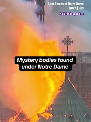 After the devastating fire at Notre Dame, two mystery bodies were found buried beneath the floors. Who were they, and why were they there? 💀⚰️ #notredame #sarcophagus #mystery 