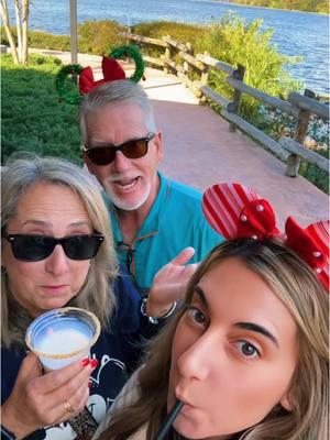 Spent the day deinking around the @Disney Parks Hotels #disney #disneyhotels #tramsbusmonorailsky #cubanmermaid #thecubanmermaid #familyday #christmasindisney 