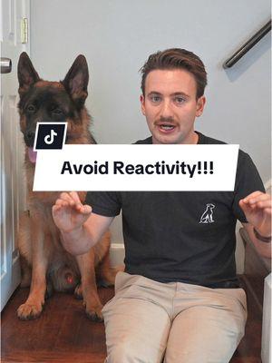 Here are 3 things to do every day if you don’t want your dog to develop reactivity! Do you do any of these?  - Struggling with your dog pulling you everywhere you go? Click the top link in my bio for a FREE PDF guide on how to stop leash pulling, build a loose leash walk, and then teach a perfect heel.  - #reactivity #reactivedog #balancedtraining 