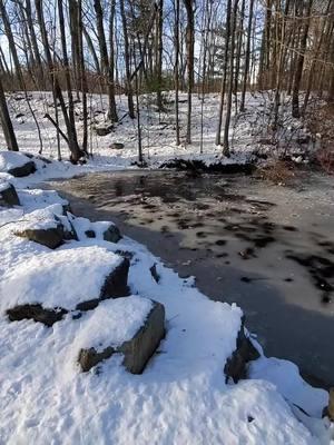 Some of most beautiful things are felt and never seen #peacefulmoments #naturevibes #naturemotivates #snow 