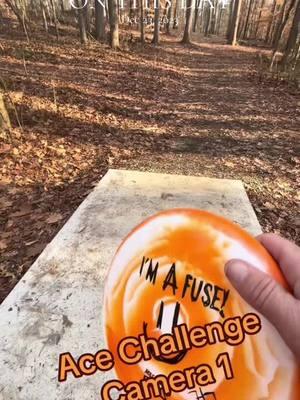 #onthisday one year since i started the ace challenge. I did not win. Congratulations to the kid ghat won. #foryou #fyp #discgolf #disctok #frisbeegolf #acechallenge #latitude64 