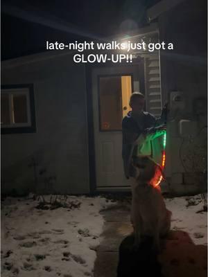 Paw-fect way to keep us safe🐾 #nightwalks #fypシ #creatorsearchinsights #fypシ #dogsoftiktok #safetyfirst #GlowUp #funny #redditstories #Lifestyle #Home #walks #TikTokShop #justagirl #justgirlythings #ledlights 