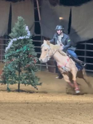 my little mare running faster around Christmas trees than she did around the barrels last month! placed 1D 3rd in the open and brought some money home #HollywoodNotTodayDoc #AryaThePalomino #barrelracing #barrelracer #foryoupage #fyp #horse #viral #abcxyz #xyzbca #christmas #christmastree #christmastreebarrelrace #dazzlerocktack #dazzlerock #rocketdonkey #rocketdonkeyapparel 