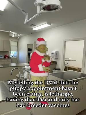 And it’s usually at the end of the day too. #vetmed #vetmedhumor #veterinarymedicine #vet #vettech #dvm #vettechtok #vettock #vettiktok #vethumor #CapCut #grinch #grinchfilter #fyp 