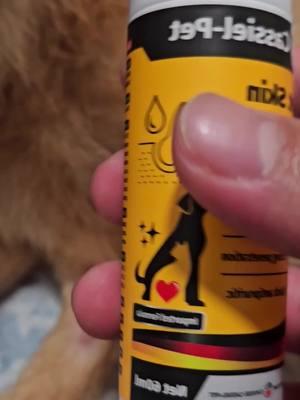 “VET BILLS” has been my middle name 😭so I’m glad we found one more thing that helps our furbabies without the vet cost. @cassiel #cassielpet #petspray #hotspot #antifungal #infection #hairloss #chewing #TikTokShop #sharingiscaring #fleas #catsordogs #redheeler 