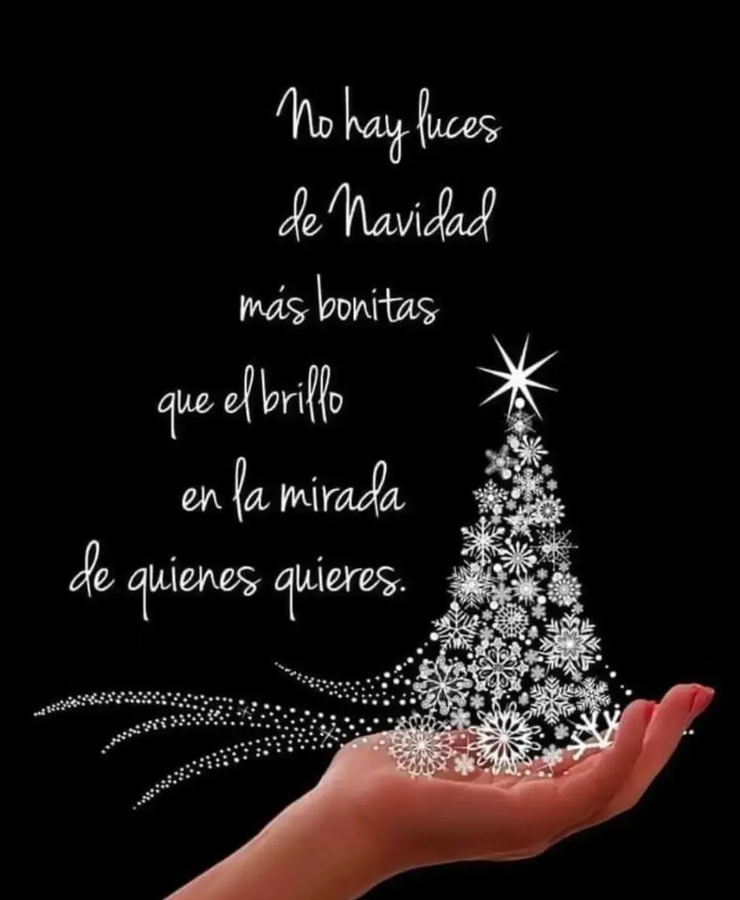 🎄🫶🏼❤️ #navida #2024-2025 #amor #paz #alegrias #metas #vibraspositivas 