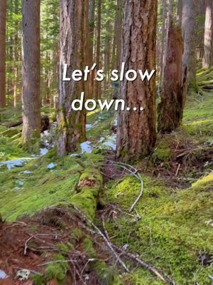 For many, the holiday season can bring on a sense of hustle and bustle. Together, let’s regain a sense of calm. Take this moment to slow down and enjoy nature - even if just through our screens. #nature #paulstamets #naturewalk #forest #naturewalks #walkingmeditation #meditation