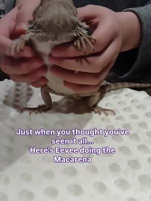 I bet you didn't know she had moves like that. Don't let Spike see her 🦎😀. #macarena 