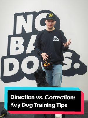 What’s the difference between direction and correction? Direction guides your dog toward the desired behavior, while correction stops unwanted actions. Knowing when to use each is essential for effective training. #DogTraining #NoBadDogs #DogTrainer #DogBehavior 