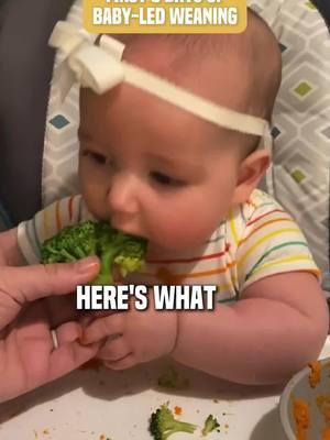 First 3 Days of BLW 🥕 Follow for more baby-led weaning tips and family-friendly meal ideas. #Babyleadweaning #foodsforbaby #familymealsforbaby #startingsolids #babyledweaningrecipes #babyledweaningideas #babyledweaningmeals #traditionalweaning #hungercues #babyeatingsolids #babyeatinghabits #babyreadytoeat #healthyfoodrelationship #babyrecipes #workingmoms #weaning #startetfood #babyeating#feedingbabies #introducingsolidstobaby