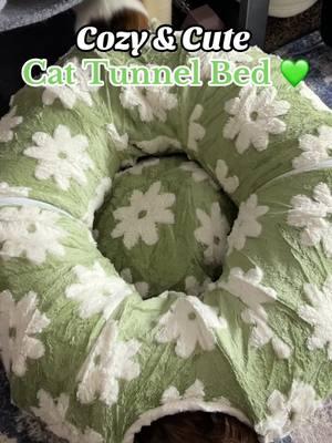 Your cats will love this cozy and cute cat tunnel bed 💚 #cat #catsoftiktok #lesurepet #cattok #cattunnel #catbed #cattunnelbed #cattunnels #cattoys #catdonutbed #petbed #PetsOfTikTok #tiktokshopfinds #mademyyear #newyearnewaura #fyp 