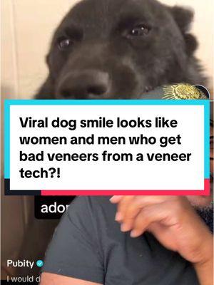 #greenscreen viral dogs smile looks like women and men who get bad veneers from a veneer tech?! #viraltiktok #smiles #dogsmile #veneer #veneers #veneertech 