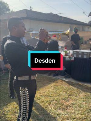 Trompeta  @MARIACHI DE LUIS VARGAS  . #desden #mariachis #mariachistiktok #LIVETips #LIVEIncentiveProgram #PaidPartnership #musica #diciembre #eeuu #losangeles #california #trompeta #trompetas #trumpetplayer #luisvargastrumpet #teamwork #musicamexicana #TikTokLIVE #trompetistas 