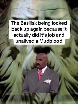 Next time I get out of here, I’m not unaliving anyone…. #petrify #chamberofsecrets #basilisk #heirofslytherin #harrypottertiktok #tomriddle #muggleborn #slytherincommonroom #avadakedavra #malfoymanor #theburrow #gobletoffire #orderofthephoenix #maraudersmap 