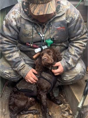 I love my boys so much. I just wanna kiss their face 🥰🤎  #boykinspaniel #realhuntingboykinspaniel #boykin #duckhunting #boykinspanielsociety #duckdog #waterfowl #muddywaterkennels #muddywatergunner #gunner #reelfootlake #tennessee 