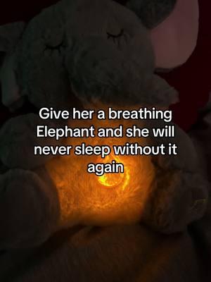 She will never sleep without it again🥰 #elephant #elephantlover #breathingelephant 