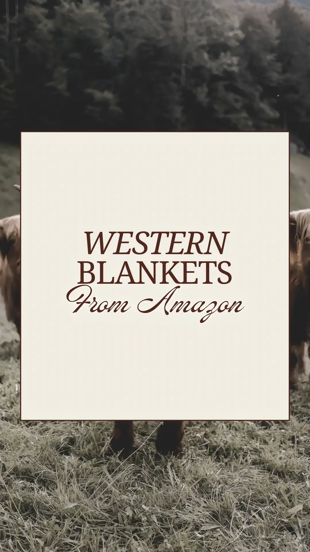 More blanket finds! #blanket #western #westernstyle #foryoupage #foryou #fypシ #westernblanket #fypシ゚viral 