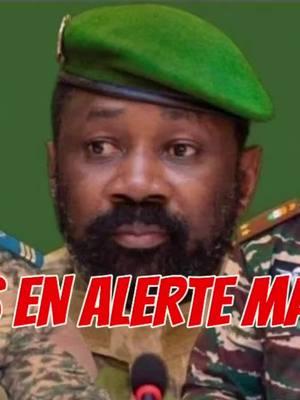 🔴🔵 URGENT | AES | TOUTES LES ARMÉES DE L'ALLIANCE EN ALERTE MAXIMALE - UNE MANIGANCE EN COURS... #hermannlepatriote  #aes #burkinafaso #mali #niger 