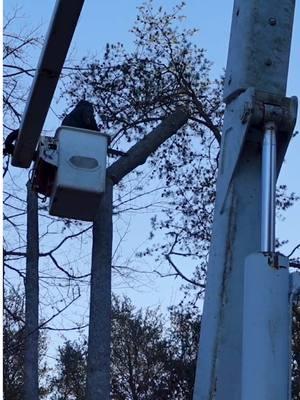 Knocking them out 🙌🏼 Catch all the action from this job in my bio… #treeservice #buckettruck #treework 