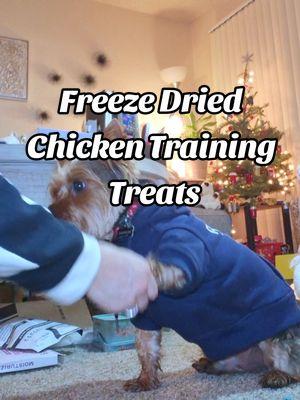 Freeze Dried Chicken Training Treats #trainingtreats #DogTraining #dogtrainingtreats  #freezedriedtreats #freezedriedchicken 